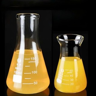 (Bomex) Bình tam giác 250ml thủy tinh thí nghiệm