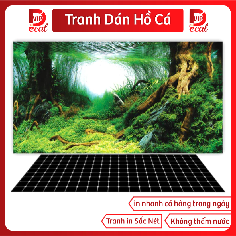 Tranh Decal dán Hồ Cá 3D Mẫu Mới ( Tranh Lưng )_TS 35