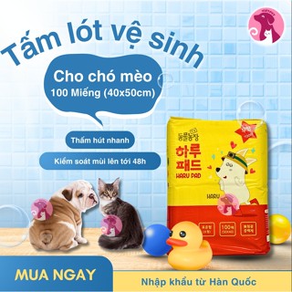 Tấm lót vệ sinh cho chó, mèo - Haru Pad 100 miếng - Nhập khẩu Hàn Quốc
