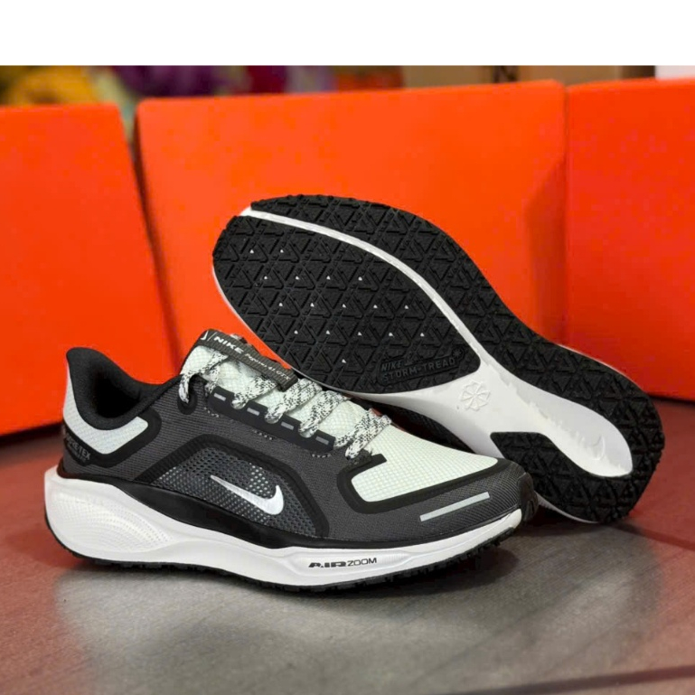 Giày Nike  Pegasus 41 Nam GTX Nam  /Fullbox ( Giày Đi Bộ -Chạy Bộ)