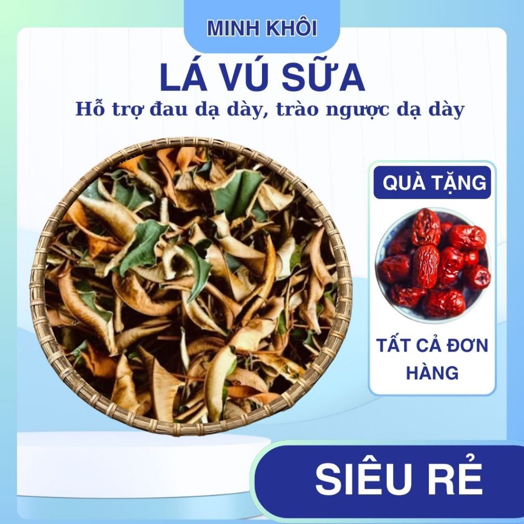 1Kg Lá vú sữa khô, sạch sẽ - uống trào ngược dạ dày nhà làm