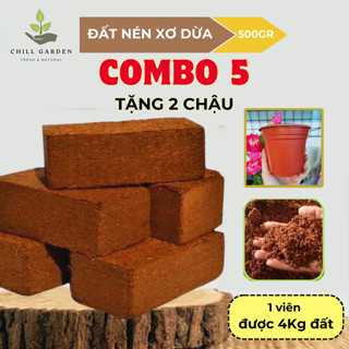 COMBO 5 Viên Nén Xơ Dừa Đất Trồng Cây ươm hạt giống trồng cây trồng rau, Nở gấp 8 lần - TẶNG KÈM CHẬU TRỒNG CÂY