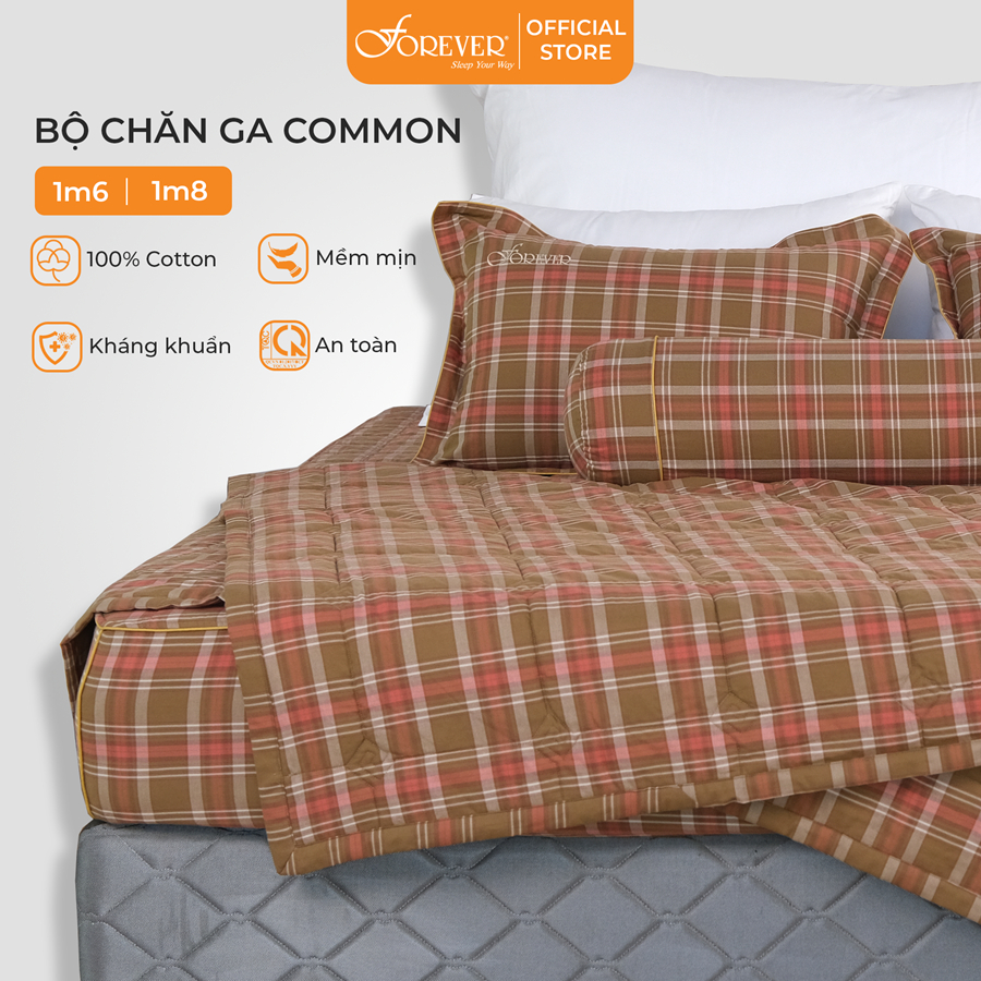 Bộ chăn ga gối chần bông 4 món FOREVER Common C123 100% Cotton cao cấp thoáng mát