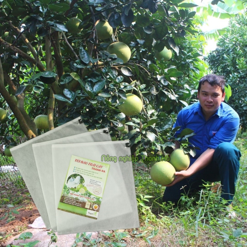 Túi bọc trái cây chống côn trùng, túi bọc trái bưởi 30x35cm độ bền cao - 20 túi