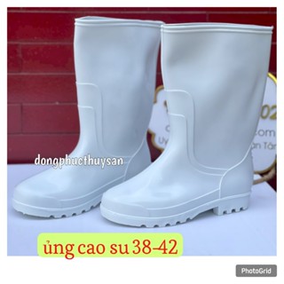 Ủng cao su trắng đế trắng TGP dành cho Nam và Nữ