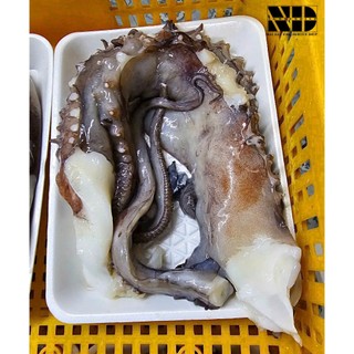 [ 800gr / khay ] Râu bạch tuột đai dương | Tươi ngon, không tanh, sạch sẽ | Giòn giòn ,dai dai, sần sật | 1kg/ 2 khay