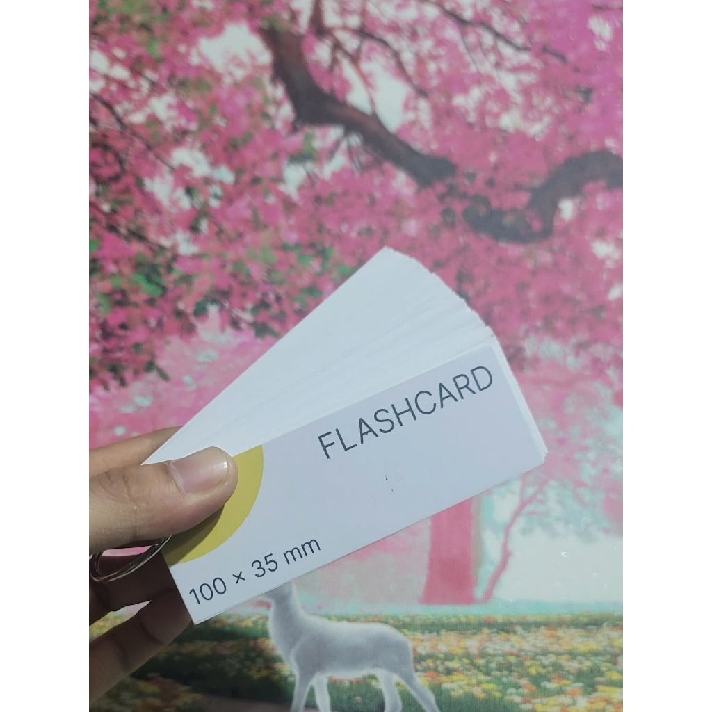 Bộ 100 FLASHCARD học từ vựng, thẻ ghi nhớ, ghi chú, giấy giày chuẩn flashcard trắng 10 x 3,5 cm
