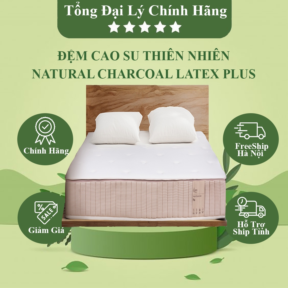 [EVERON] Đệm cao su thiên nhiên Latex than hoạt tính Natural Charcoal Latex Plus