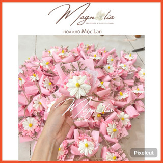   HÀNG XỊN KHÔNG MỐC  Bó hoa Khô mini hoa bông cúc trắng hồng 