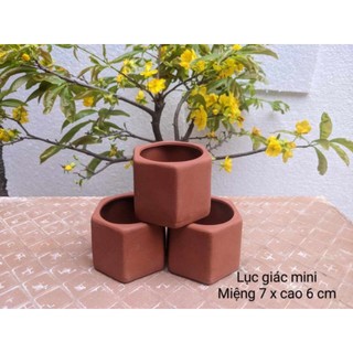🔥[Combo siêu rẻ-]🔥 - 5 chậu lục giác  Mini