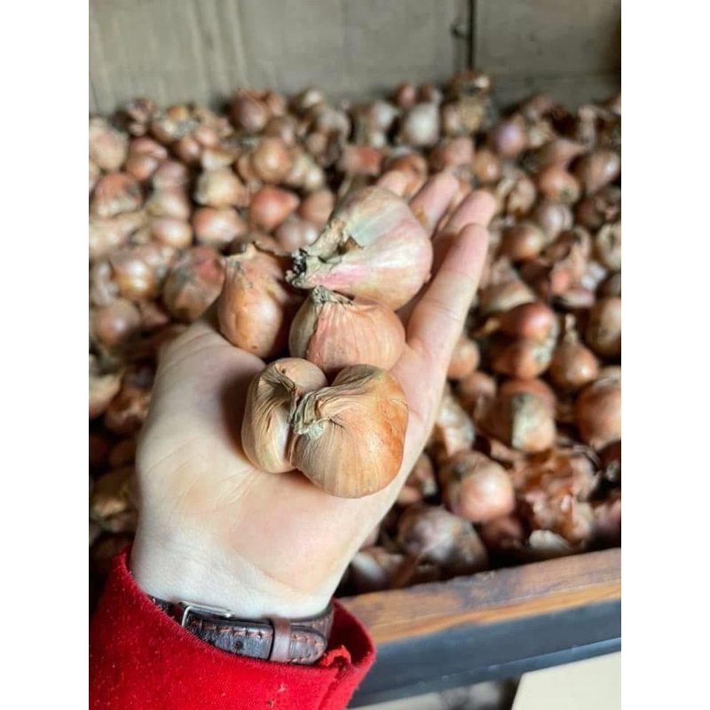 Hành khô Hải Dương-1kg-2kg-500g3kg