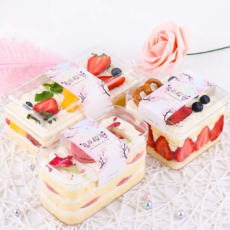 Set 5 hộp nhựa cứng đựng bánh quy, tiramisu - Ecopack