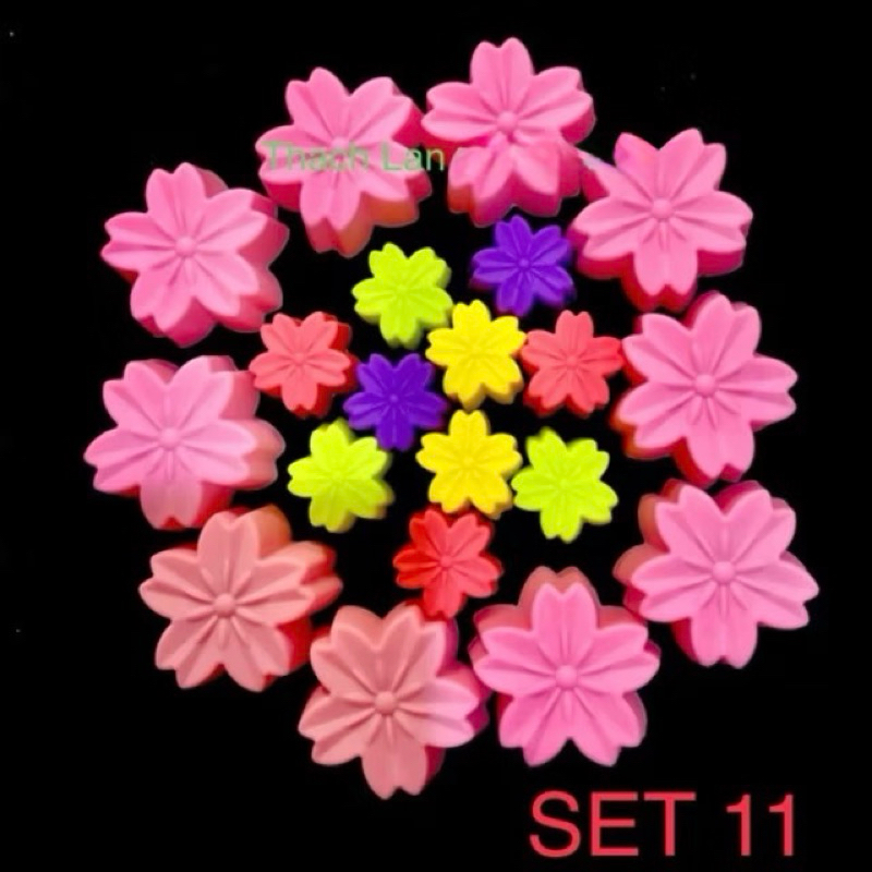 Set 20 khuôn lồng mini