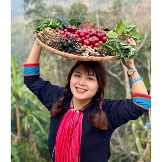 Dầu gội Thảo quả giảm gàu, nấm ngứa, phòng bạc tóc sớm ChaoGoong (Chảo Yến) 500ml