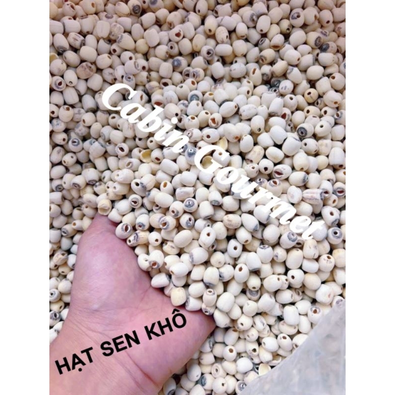 1KG Hạt Sen Khô Loại 1 Nấu Chè Làm Bánh Lotus Cabin Gourmet