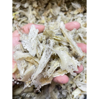 Yến vụn thô VIỆT ít lông 100g tặng kèm nhíp táo đường hạtnchia