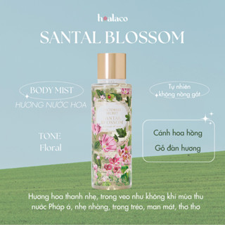 XỊT THƠM TOÀN THÂN BODY MIST SANTAL BLOSSOM  - Victoria's Secrets