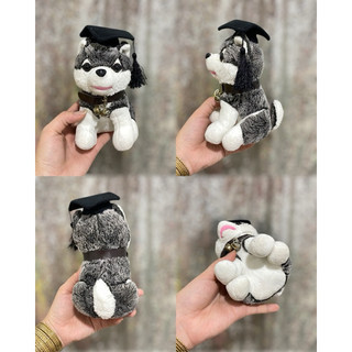 gấu bông chó alaska