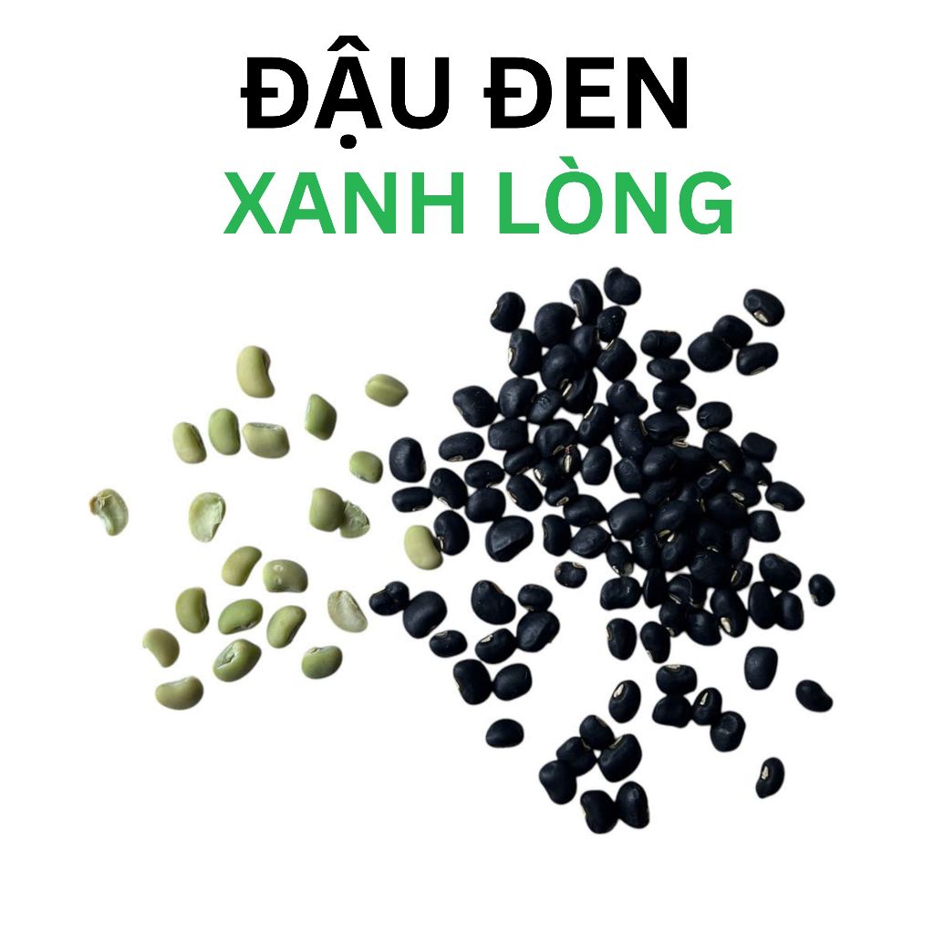 Đậu đen xanh lòng tự nhiên sản xuất thủ công - Black Beans with Green Kernels
