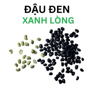 Đậu đen xanh lòng tự nhiên sản xuất thủ công - Black Beans with Green Kernels