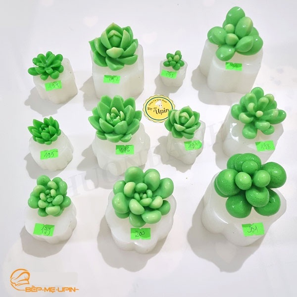 Khuôn silicon sen đá khuôn xương rồng