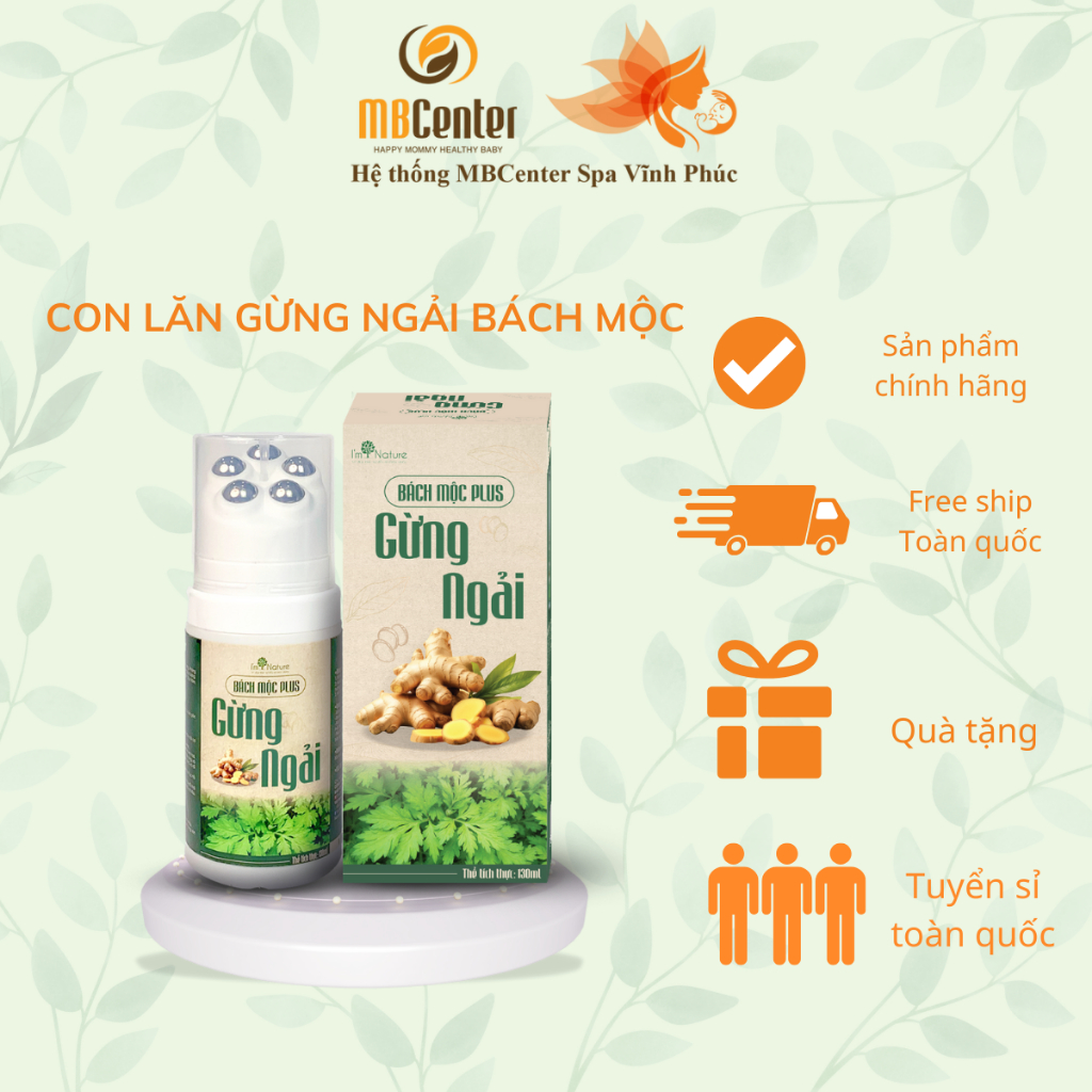 Con Lăn Massage Con Lăn Gừng Ngải Bách Mộc Plus - Massage Hỗ trợ Đau Mỏi Cổ Vai Gáy