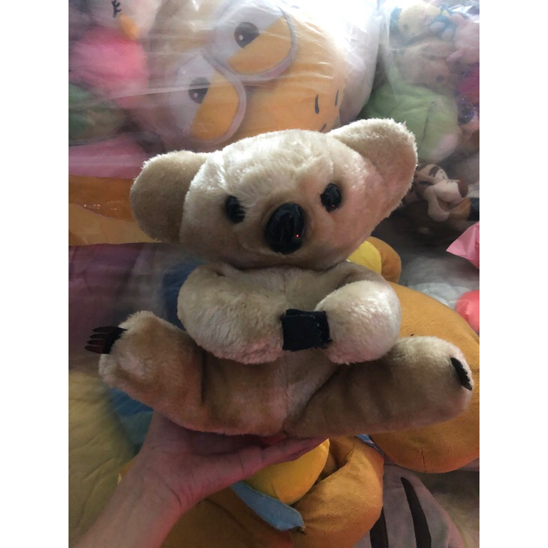 Gấu bông koala