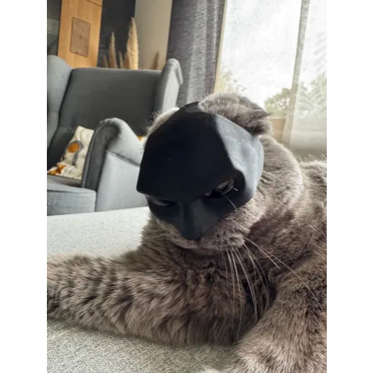 Mặt Nạ Mèo Batman - Bat-Cat Mask