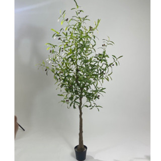 Cây oliu 165cm - cây giả decor