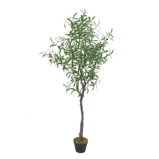 Cây oliu 165cm - cây giả decor