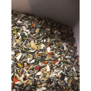 Hạt Trộn Vẹt ngực hồng, sun, xích ... gói 500g - 1kg