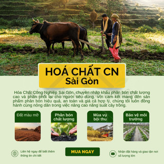 [TÚI 1KG] PHÂN BÓN KẼM SUNPHATE (ZnSO4.H20)