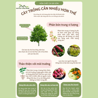 [TÚI 1KG] Phân Bón vi Lượng Mangan ( MnSO4.H2O)