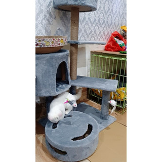 trụ cào mèo
