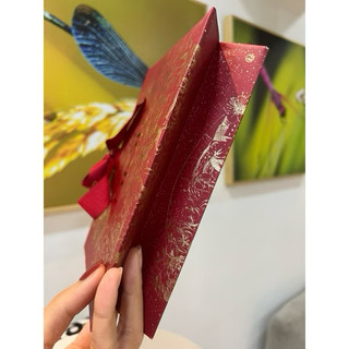 (Auth)- Túi giấy Diior đỏ tết 19*13*7cm