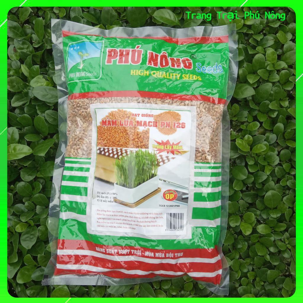 Hạt Giống Mầm Lúa Mạch Phú Nông - Bao 1kg