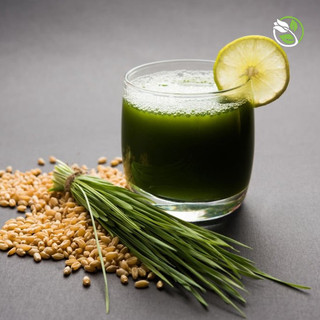 Hạt Giống Mầm Lúa Mạch Phú Nông - Gói 100g