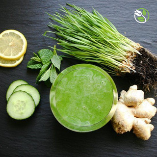Hạt Giống Mầm Lúa Mạch Phú Nông - Gói 100g
