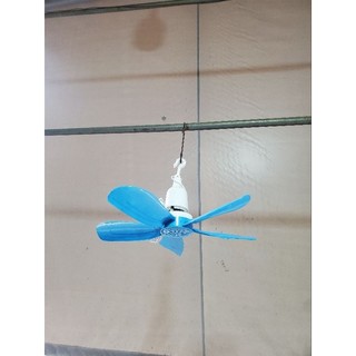 Quạt trần mini