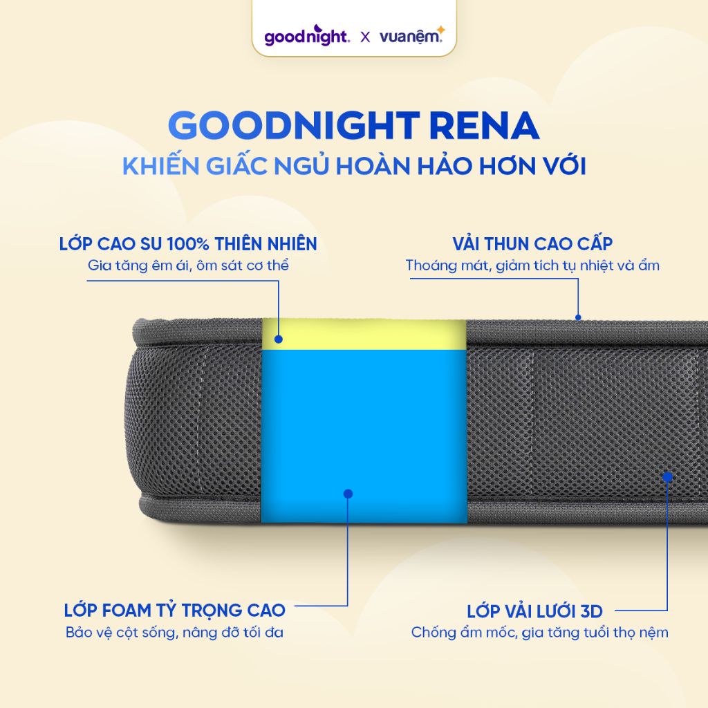 [TẶNG SET GA 3 MÓN] Nệm Cao Su Foam Vua Nệm Goodnight Latex Hybrid 10cm, Đệm Cao Su Thiên Nhiên, Nệm Gia Đình | BigBuy360 - bigbuy360.vn