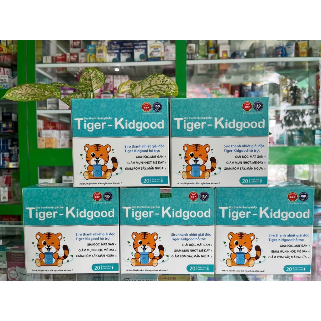 Kidgood - Siro thảo mộc giúp giải độc gan trẻ em, giảm mẩn ngứa, rôm sẩy - Hộp 20 ống - NT Bình An