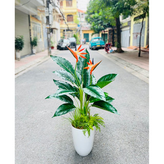 Cây thiên điểu 1m - cây giả decor