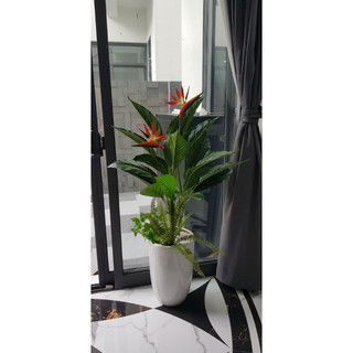 Cây thiên điểu 1m - cây giả decor