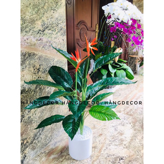 Cây thiên điểu 1m - cây giả decor