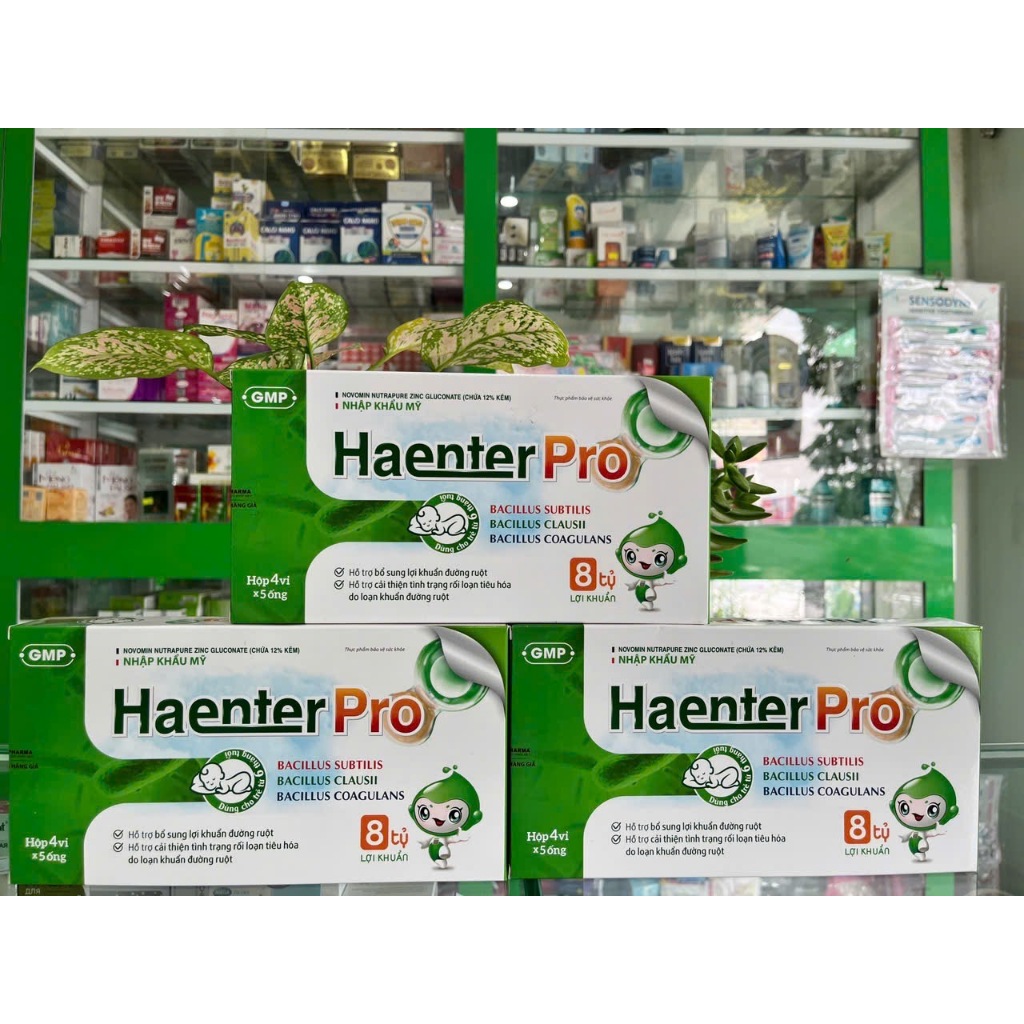 Men 8 tỉ lợi khuẩn Haenter Pro với 6 chủng đa dạng giúp ổn định tiêu hóa - Hộp 20 ống - NT Bình An