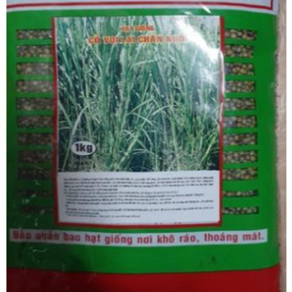 Hạt giống cỏ voi 1kg