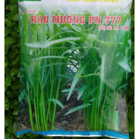 Hạt giống rau muống lá tre