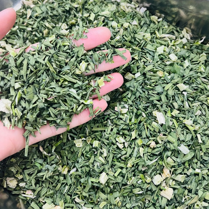 Hành lá sấy lạnh / hành lá cắt khúc sấy khô