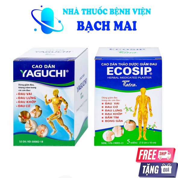 Ecosip dán nóng lạnh COOL - gói 5 miếng miếng dán YAGUCHI thảo dược Fujisip lạnh Tatra