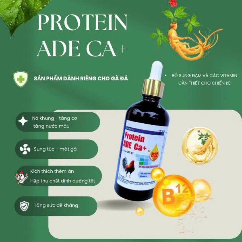 Protein ADE Ca+ cung cấp vitamin, Canxi dành cho gà đá 100ml x 1 chai